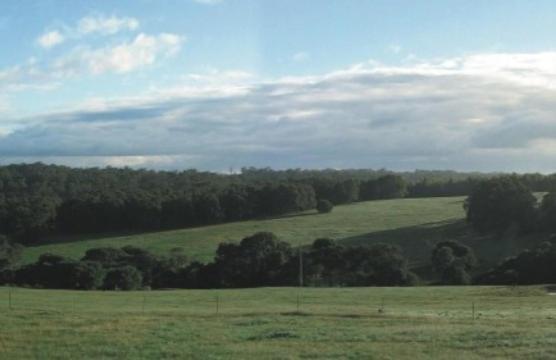 Hilltop Studios Margaret River Cameră foto